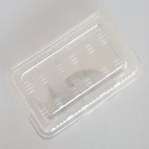 打包盒一次性可降解餐饮具降解材料